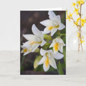 Bloem #1668 kaart (Gele Bloem)