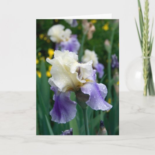 Bloem #2090 kaart (Voorkant)