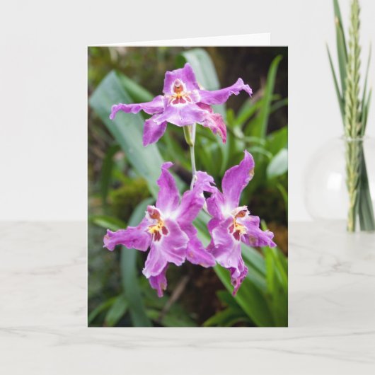 Bloem #2770 kaart (Voorkant)