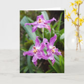 Bloem #2770 kaart (Gele Bloem)