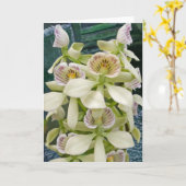 Bloem #2817 kaart (Gele Bloem)
