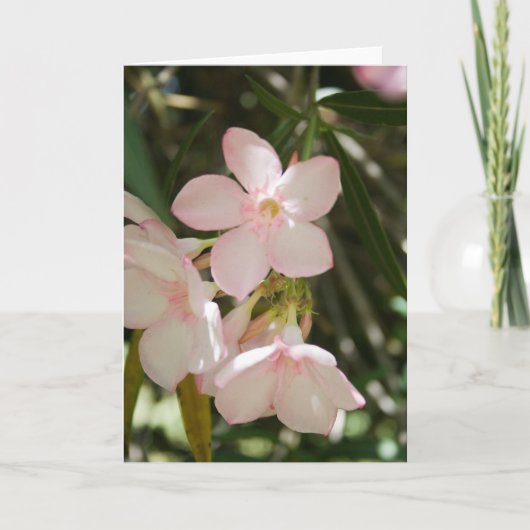 Bloem #3363 kaart (Voorkant)
