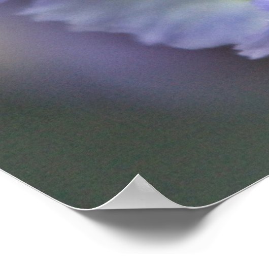 Bloem 3 poster (Hoek)