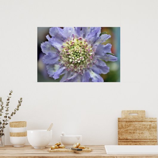 Bloem 3 poster (Keuken)