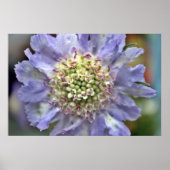 Bloem 3 poster (Voorkant)