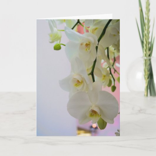 Bloem #4124 kaart (Voorkant)