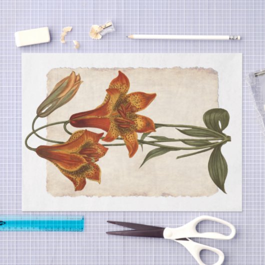 Bloem 43 Tiger Lily-depotpapier Tissuepapier (Craft)
