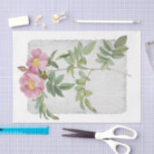 Bloem 48 Prairie-Roos - losbandig papier (Craft)