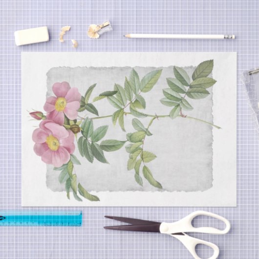 Bloem 48 Prairie-Roos - losbandig papier (Craft)