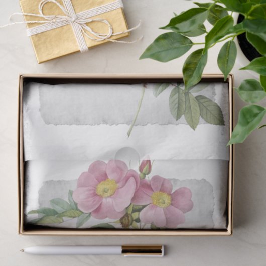 Bloem 48 Prairie-Roos - losbandig papier (Geschenk)