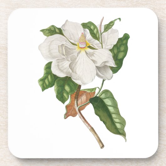 Bloem: A004 Magnolia - Bier Onderzetter (Voorkant)