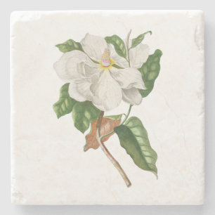Bloem: A004 Magnolia - Stenen Onderzetter