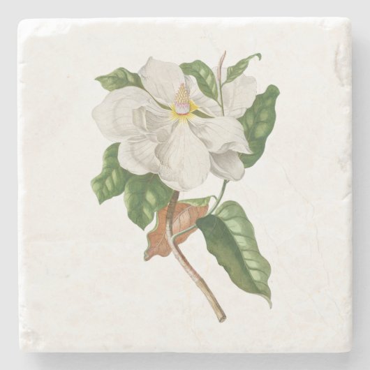 Bloem: A004 Magnolia - Stenen Onderzetter (Voorkant)