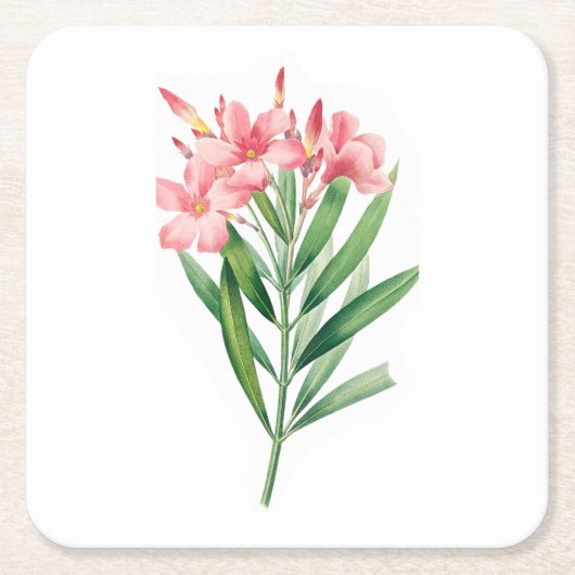 Bloem: A005 Oleander - Kartonnen Onderzetters (Voorkant)