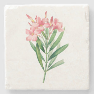 Bloem: A005 Oleander - Stenen Onderzetter
