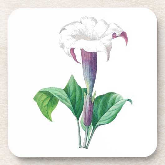 Bloem: A006 Thorn Apple - Bier Onderzetter (Voorkant)