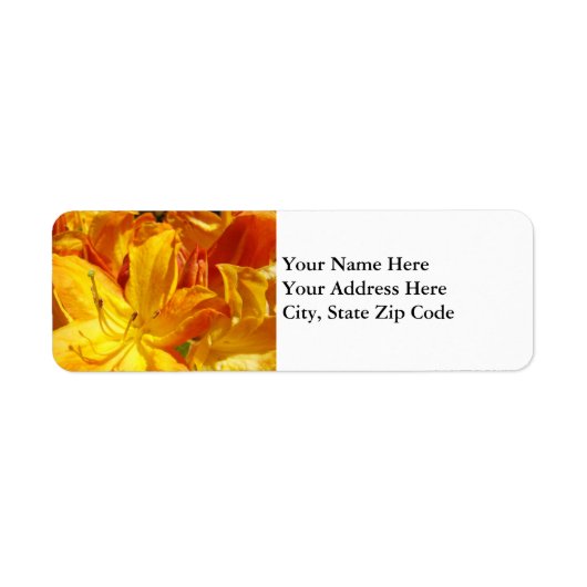 Bloem Adres Labels Oranje Rhododendron Bloemen (Voorkant)