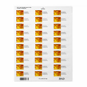 Bloem Adres Labels Oranje Rhododendron Bloemen (Full Sheet)