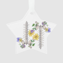 Bloem Anatomie - Wervels, Heupbot Ornament