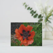 Bloem ansichtkaart briefkaart (Staand voorkant)