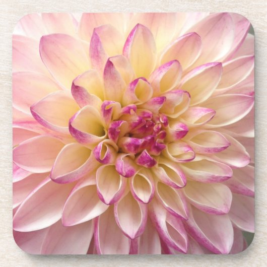 bloem bier onderzetter (Voorkant)