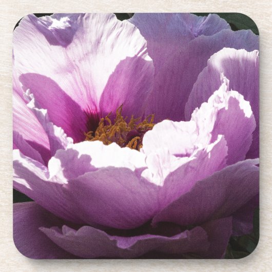 bloem bier onderzetter (Voorkant)