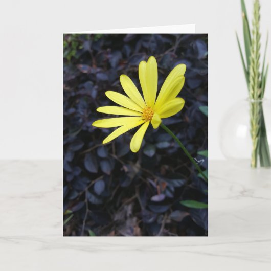 Bloem bij het Festival Notecards (Spatie binnen) Kaart (Voorkant)