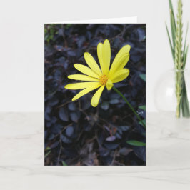 Bloem bij het Festival Notecards (Spatie binnen) Kaart