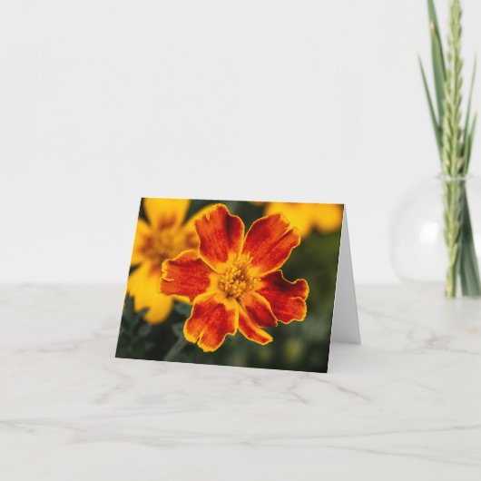 Bloem Blanco Notecard Bedankkaart (Voorkant)