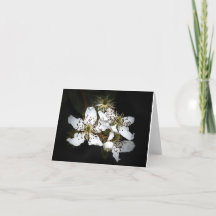 Bloem Blanco Notecard
