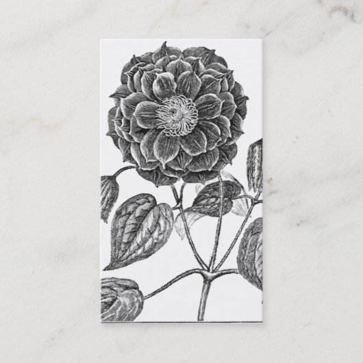 Bloem botanisch visitekaartje (Voorkant)