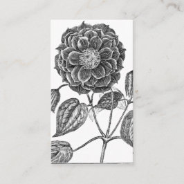 Bloem botanisch visitekaartje