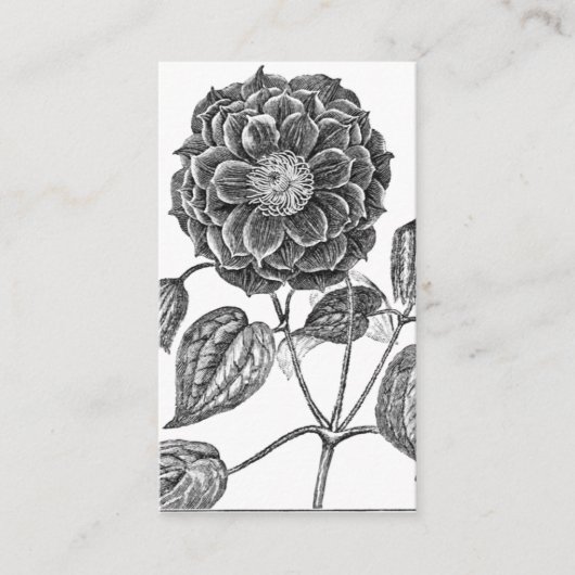 Bloem botanisch visitekaartje (Voorkant)