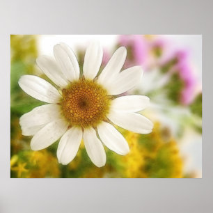 Bloem Bouquet - White Daisy Poster