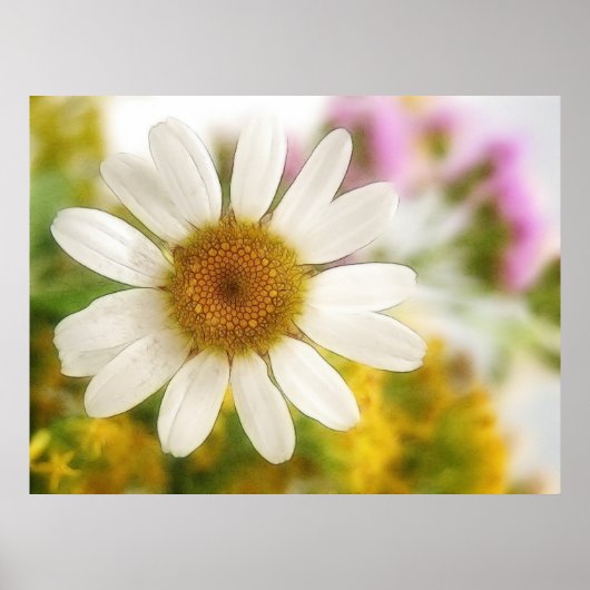 Bloem Bouquet - White Daisy Poster (Voorkant)