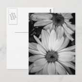 Bloem Briefkaart (Voorkant / Achterkant)