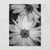 Bloem Briefkaart (Voorkant)