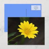 Bloem Briefkaart (Voorkant / Achterkant)