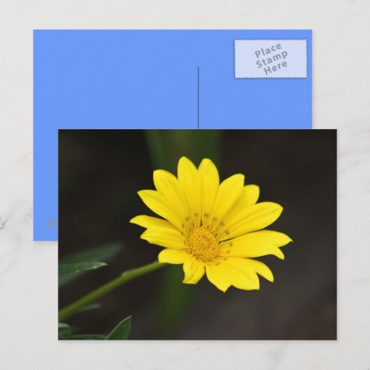 Bloem Briefkaart (Voorkant / Achterkant)