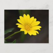 Bloem Briefkaart (Voorkant)