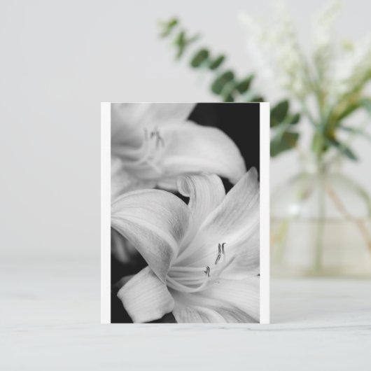 Bloem Briefkaart (Staand voorkant)