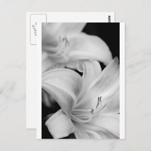 Bloem Briefkaart (Voorkant / Achterkant)