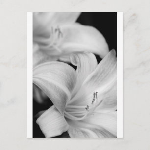 Bloem Briefkaart