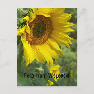 bloem briefkaart