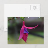 Bloem Briefkaart (Voorkant / Achterkant)