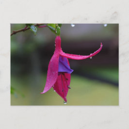 Bloem Briefkaart