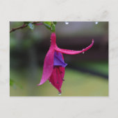 Bloem Briefkaart (Voorkant)