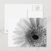 Bloem Briefkaart (Voorkant / Achterkant)