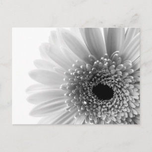 Bloem Briefkaart