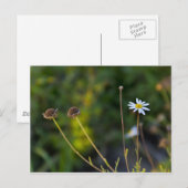 Bloem Briefkaart (Voorkant / Achterkant)